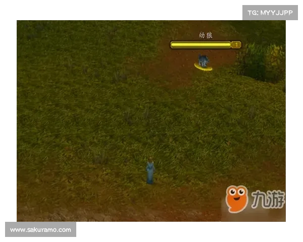 魔兽世界怀旧服：极速升级攻略